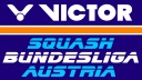 Logo VBLA